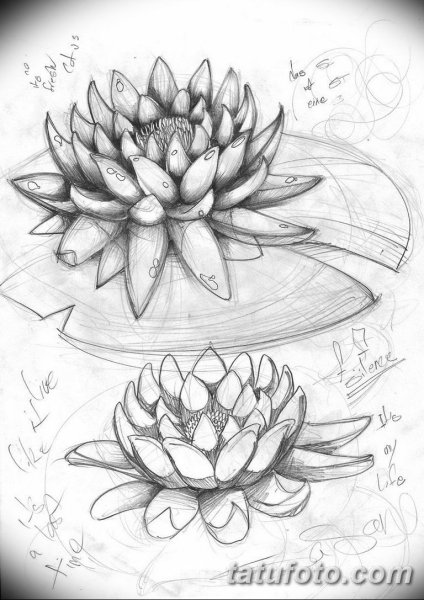 Лотос эскиз