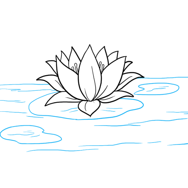 Кувшинка контур