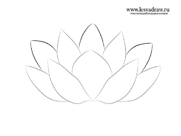 Поэтапное рисование лотоса