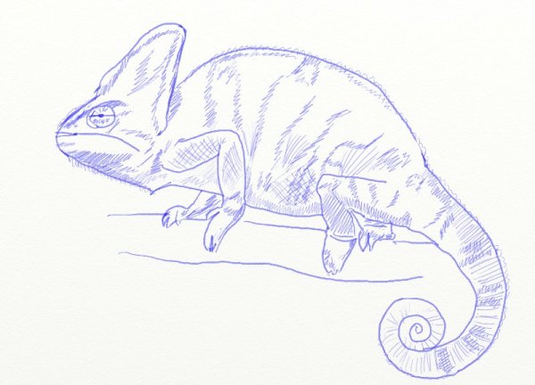 Рисунки для срисовки цветные