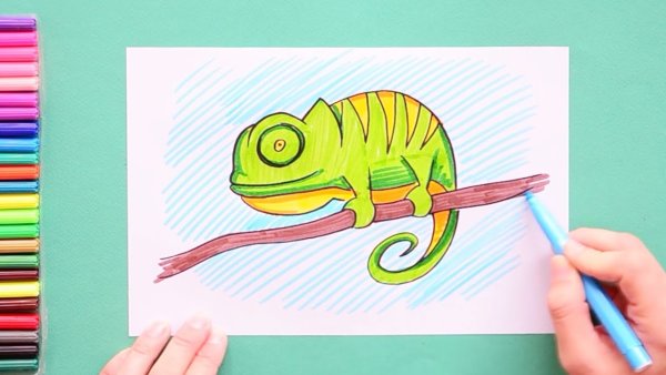 Рисование хамелеон