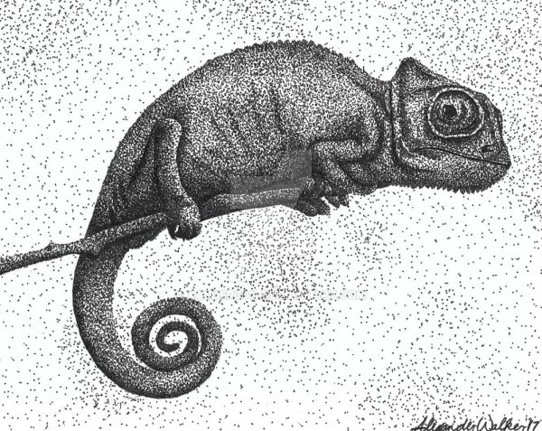 Срисовывать хамелеона Паскаля