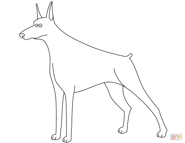 Доберман пинчер раскраска