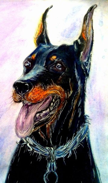 Доберман карандашом