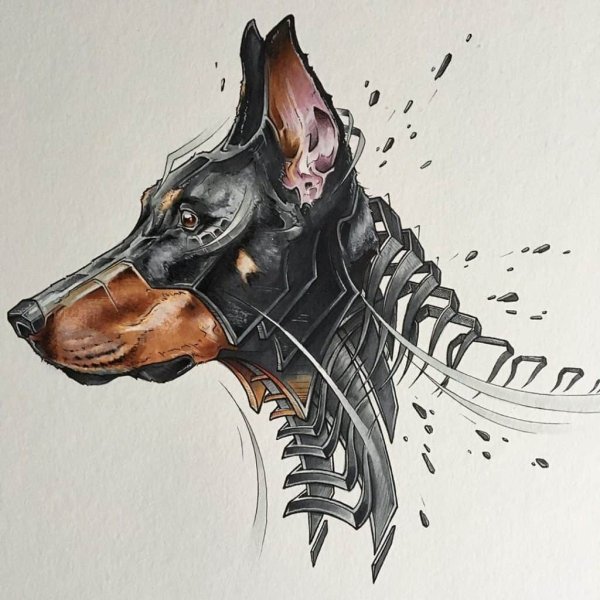 Набросок добермана