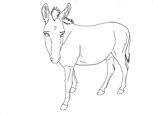 Как нарисовать осла легко