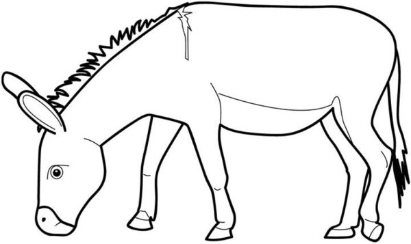Контур ослика для детей