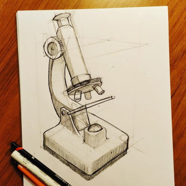 Зарисовка микроскопа