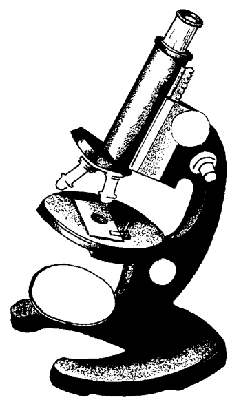 Микроскоп контур