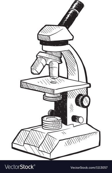 Зарисовка микроскопа