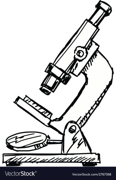 Разукрашка световой микроскоп