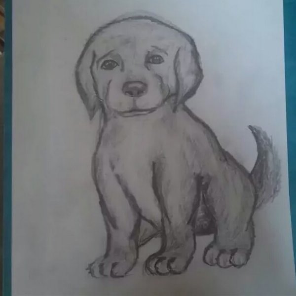 Рисунок к сказке Муму