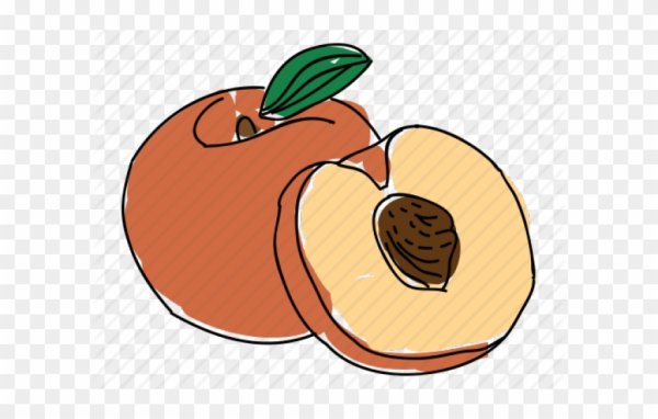 Персик рисунок