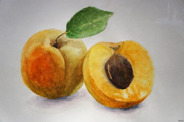 Рисование фруктов акварелью