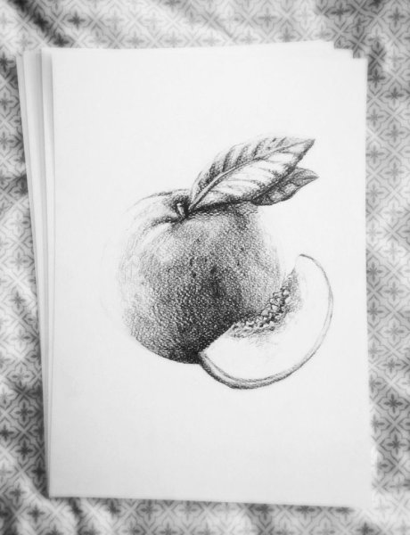 Персик натюрморт карандашом