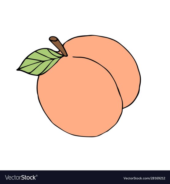 Персик рисунок поэтапно