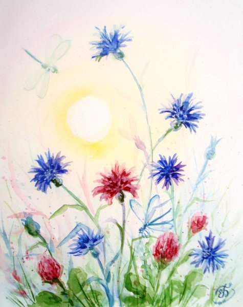 Василек акварель