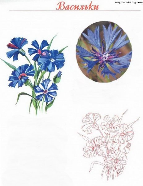 Трафарет васильки витраж