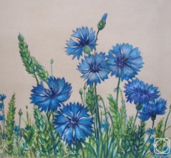 Акварельные карандаши васильки