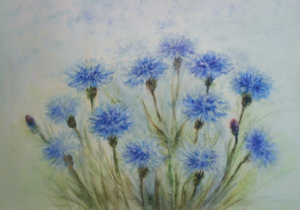 Рисовать васильки акварелью