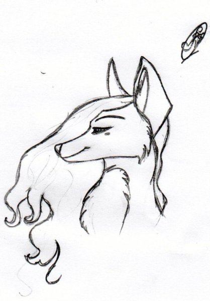 Рисунки для срисовки животные