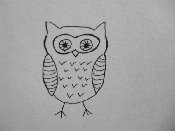 Рисунки Совы карандашом для начинающих
