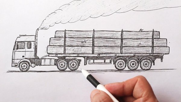 Поэтапное рисование фуры