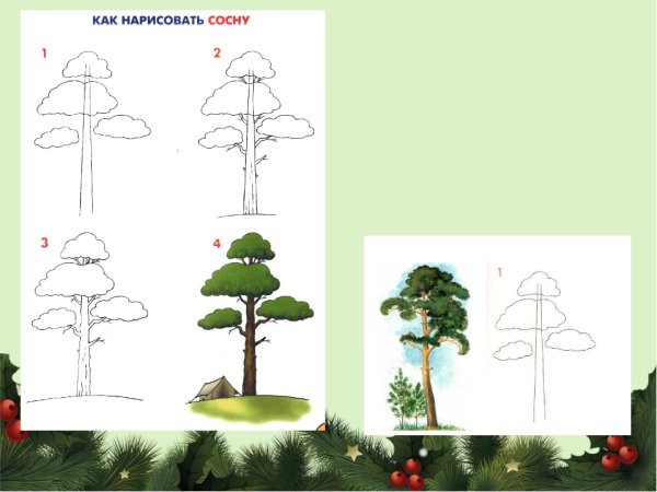 Как нарисовать сосну
