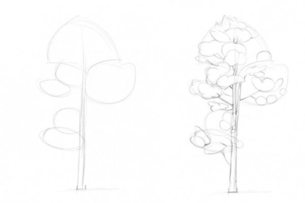 Поэтапное рисование сосны