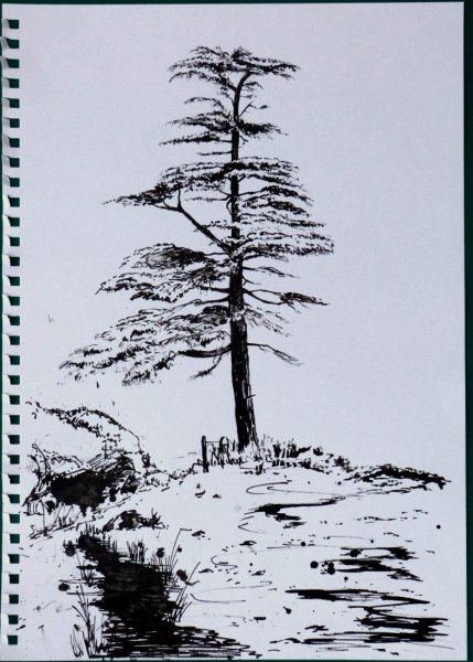 Стилизованные сосны