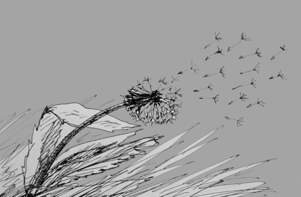 Ветер раскраска для детей