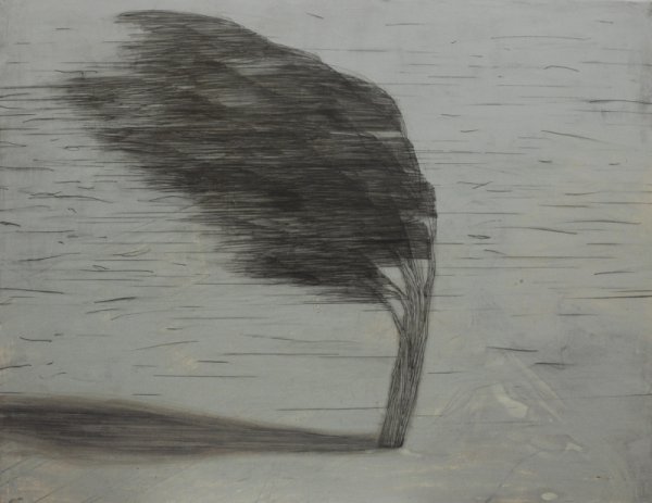 Штриховка дерева