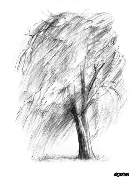 Порыв ветра линией