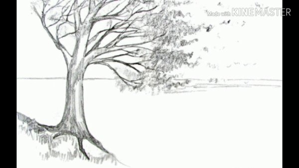 Ветер раскраска