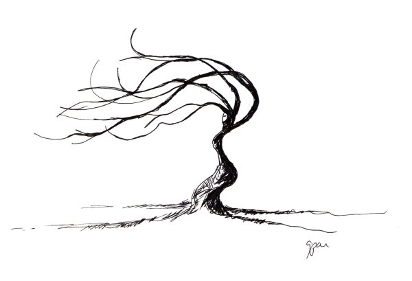 Явления природы раскраска