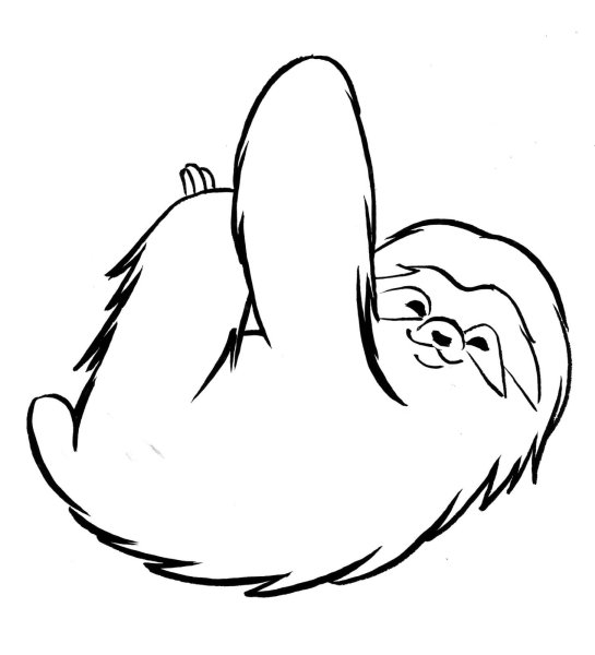 Ленивец раскраска для детей