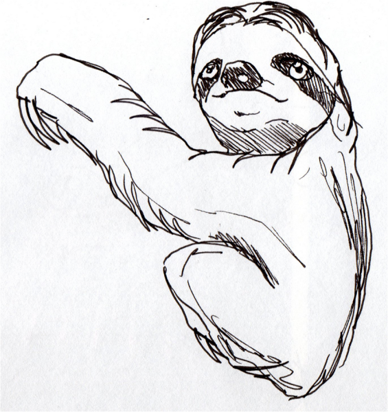 Dolemikki Ленивец