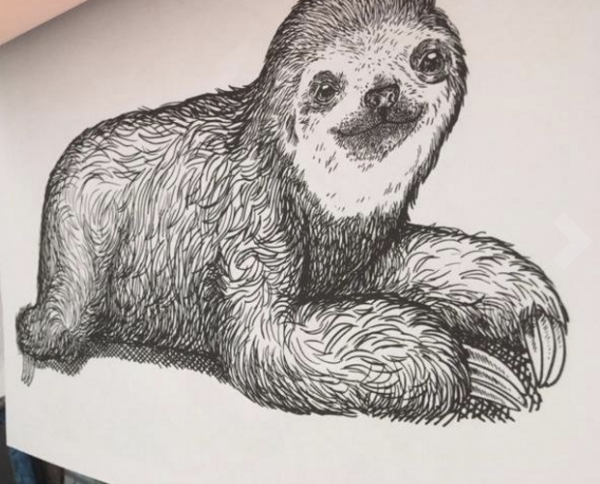 Ленивцы мультяшные