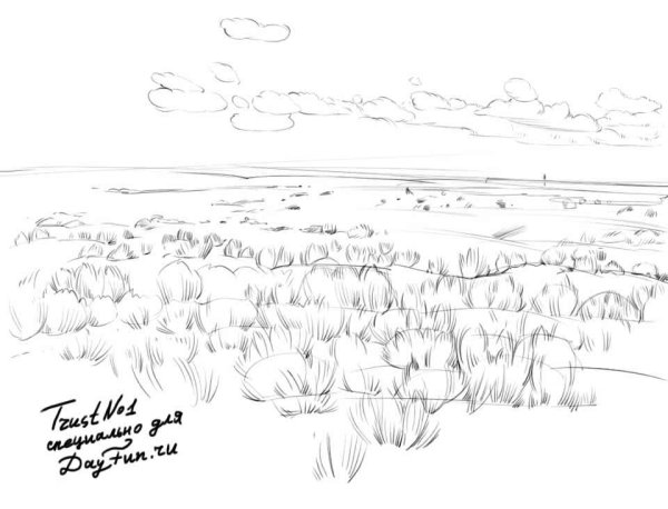 Поле карандашом