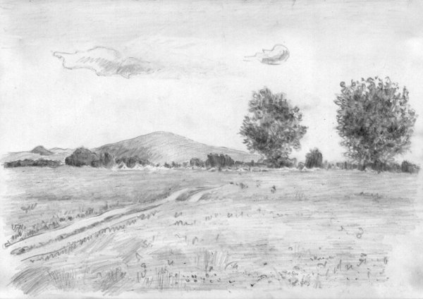 Детские рисунки степи