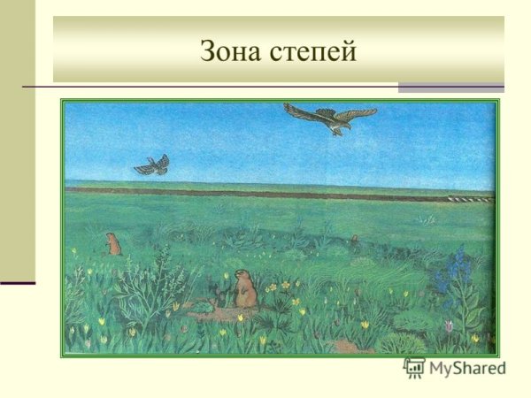 Детские рисунки степи