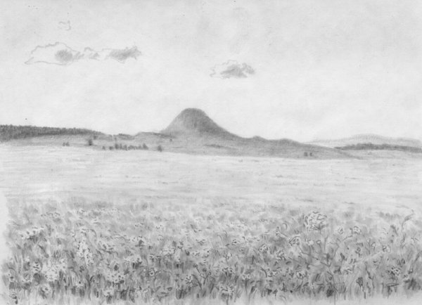 Поле карандашом