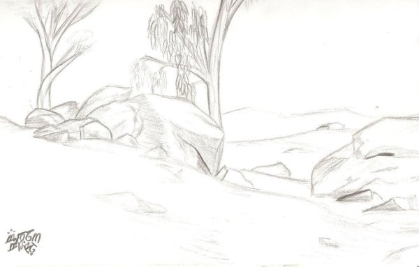 Степь карандашом