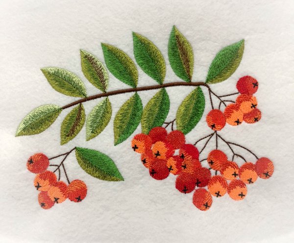 Кисть Рябинки гроздь Калинки