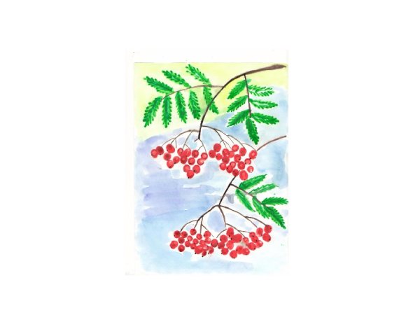 Легкий рисунок рябины