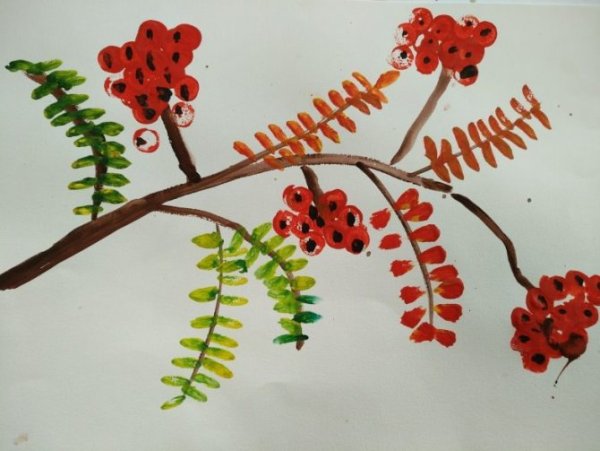 Гроздь рябины раскраска для детей