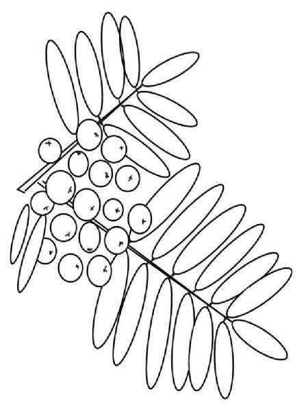 Рисование дерева рябина
