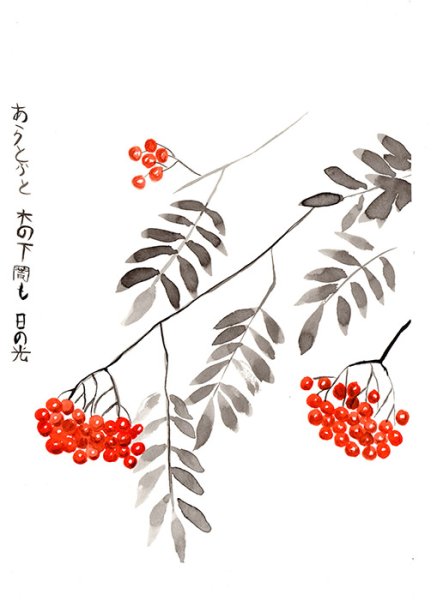 Веточка рябины карандашом