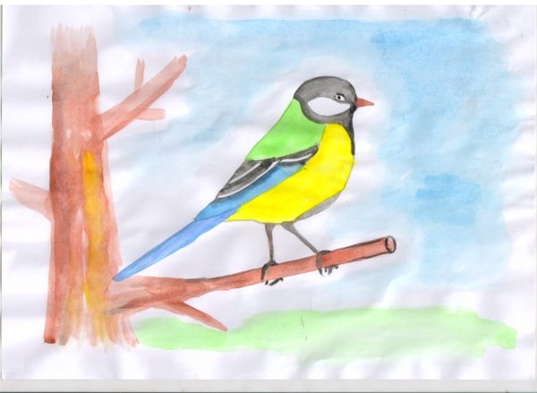 Рисование синицы