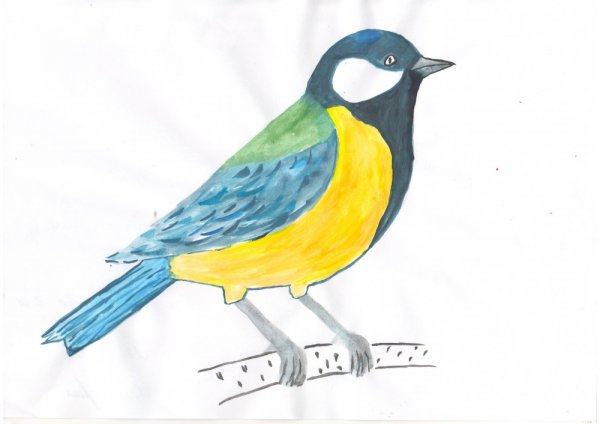 Птицы Башкирии конкурс 2020